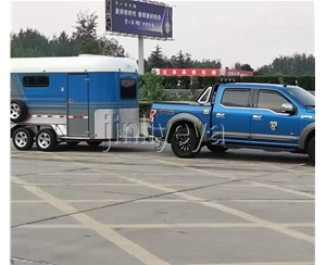 武汉两马方头车